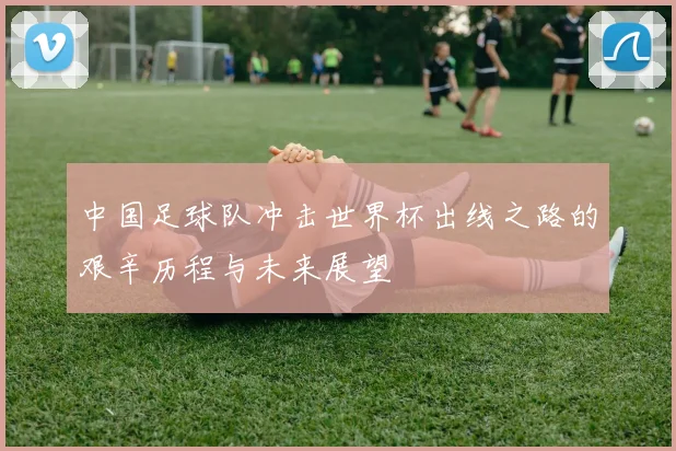 中国足球队冲击世界杯出线之路的艰辛历程与未来展望