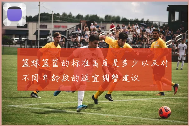 篮球篮筐的标准高度是多少以及对不同年龄段的适宜调整建议