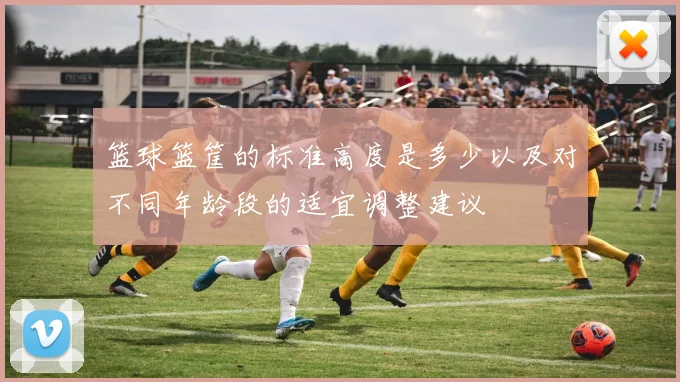 篮球篮筐的标准高度是多少以及对不同年龄段的适宜调整建议